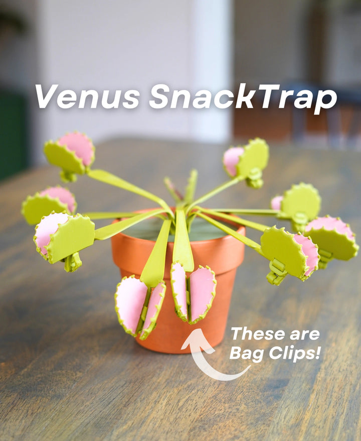 Venus Snacktrap