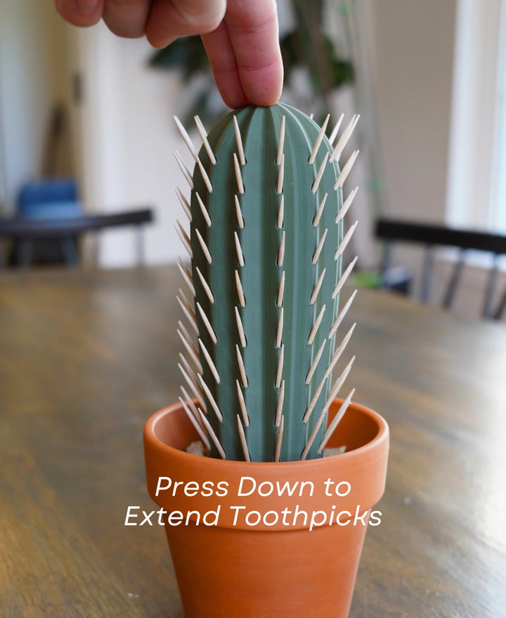 Cactus Toothpick Holder