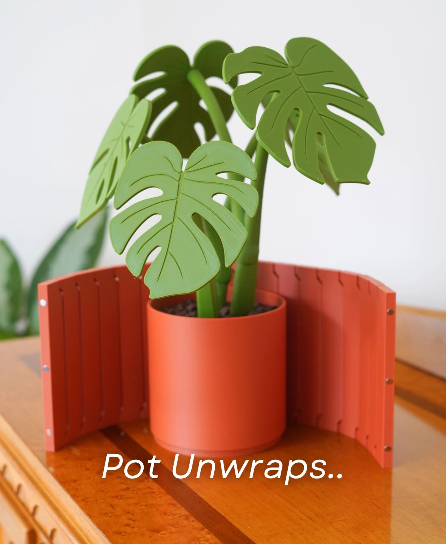 Monstera Coaster Set Gen 2