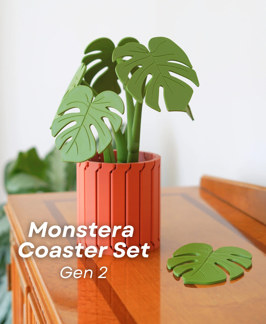 Monstera Coaster Set Gen 2