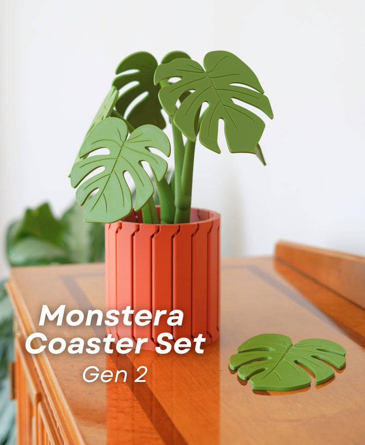 Monstera Coaster Set Gen 2
