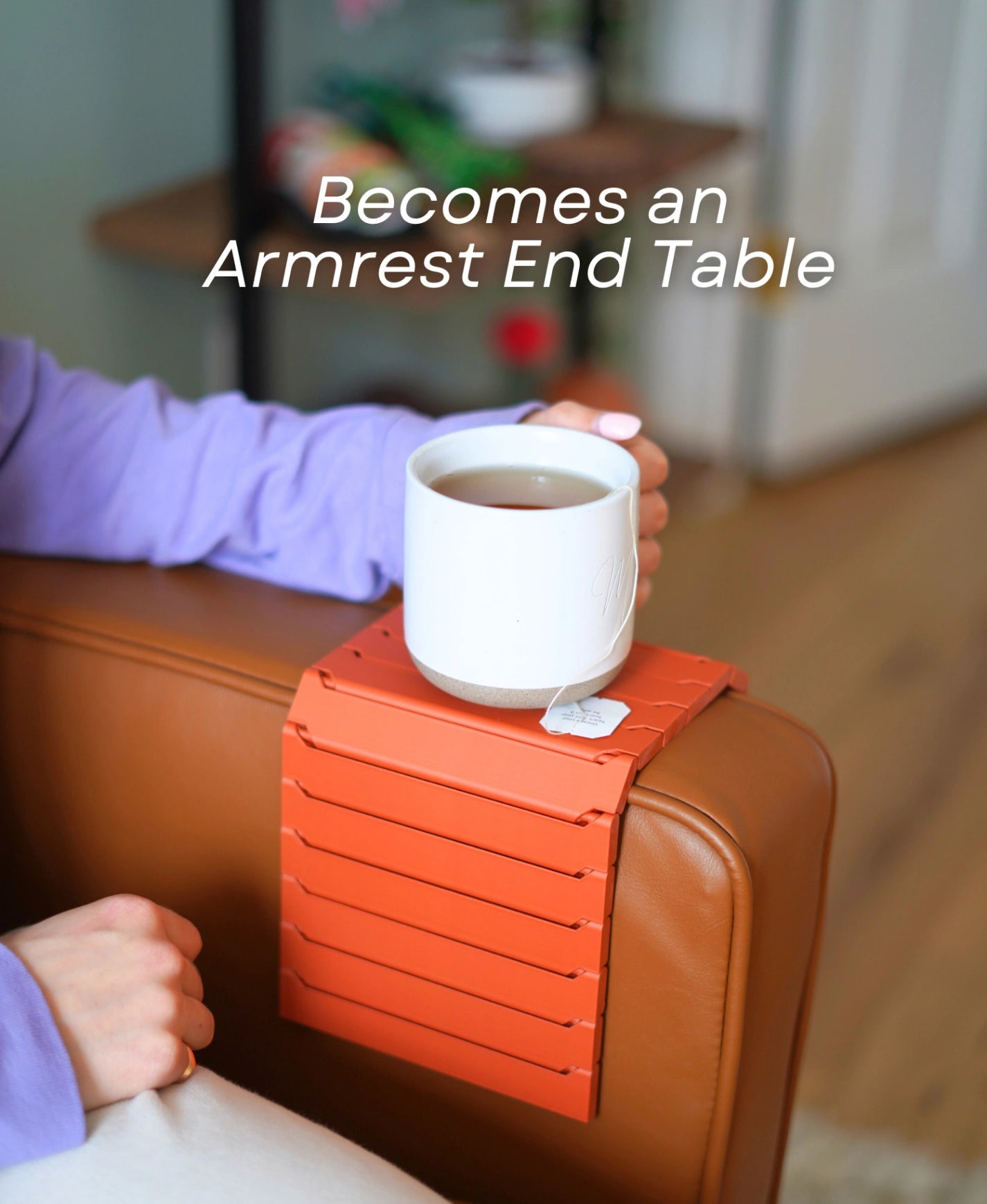 Monstera Coaster Set Gen 2