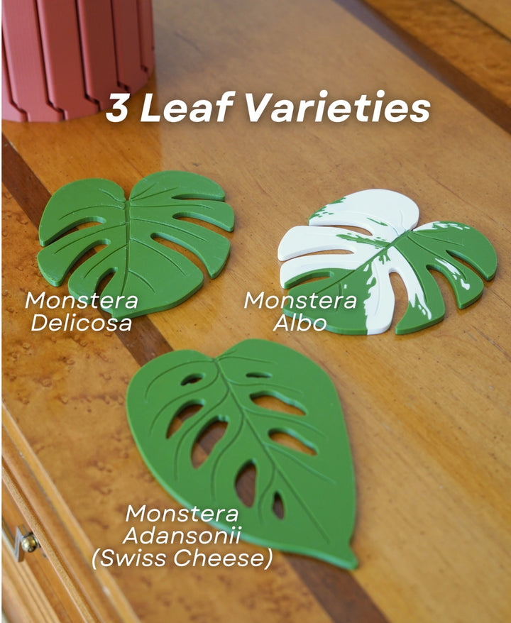 Monstera Coaster Set Gen 2